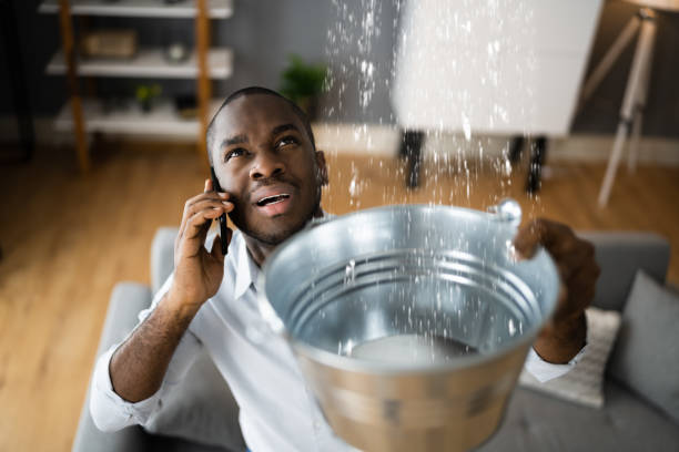 Best Basement water damage restoration  in Chamberlain, SD