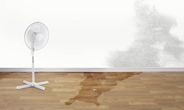 Best Emergency water damage restoration  in Chamberlain, SD