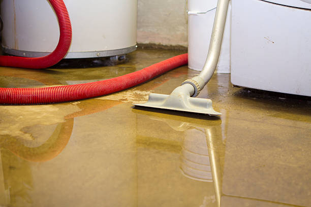Reliable SD Water damage restoration Solutions