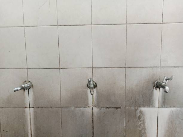 Chamberlain, SD Water damage restoration Pros