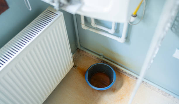 Best Mold removal after water damage  in Chamberlain, SD